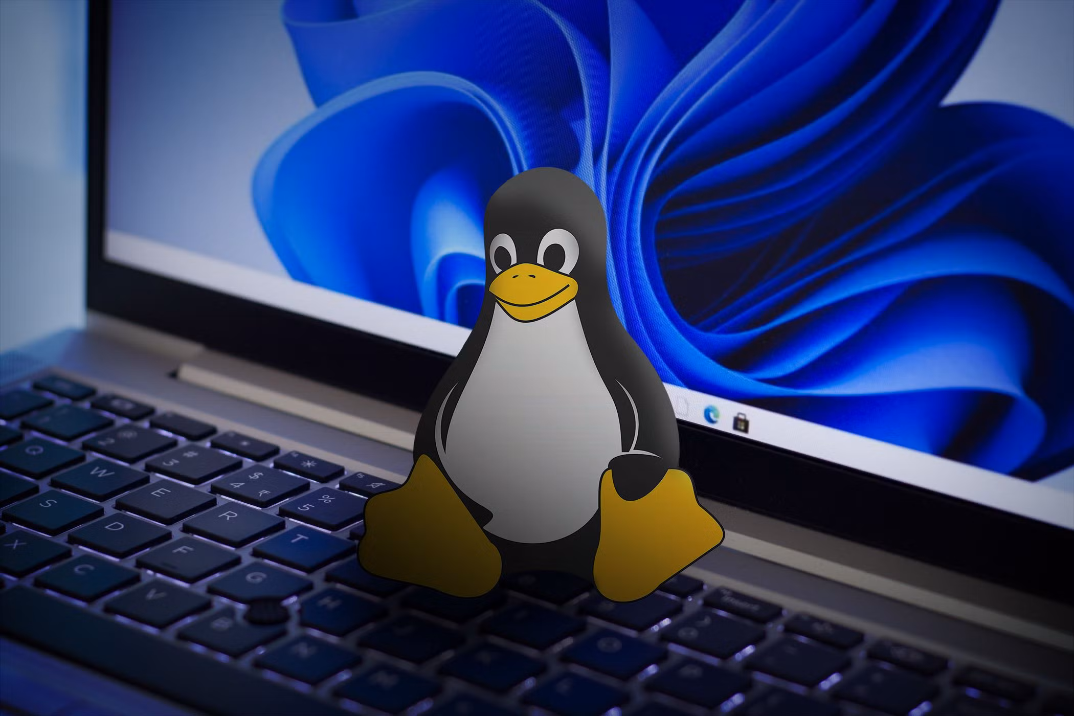 linux-windows